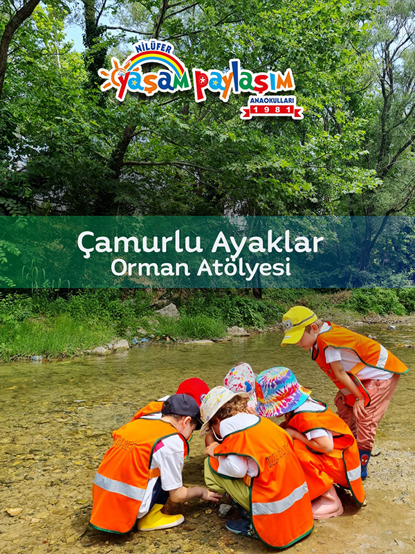 Nilüfer Özel Anaokulu